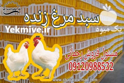 قیمت خرید سبد مرغ زنده در گروه تجهیزات مرغداری در یکمیوه -عکس1