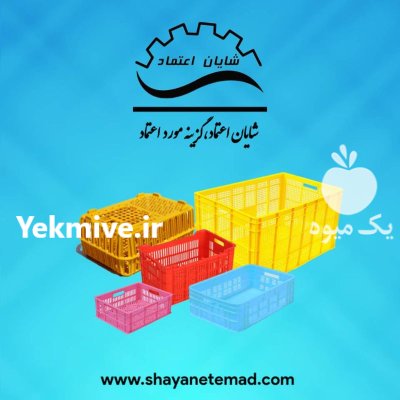 قیمت خرید سبد مرغ زنده در گروه تجهیزات مرغداری در یکمیوه -عکس2