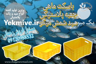 فروش جعبه پلاستیکی ماهی در هرمز در گروه خرید و فروش انواع سبد در یکمیوه -عکس2