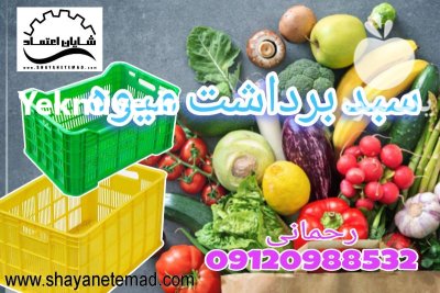 فروش سبد برداشت میوه در ارومیه در گروه خرید و فروش انواع سبد در یکمیوه -عکس2