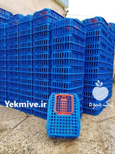 فروش قفس مرغی قفس طیور در سنندج در گروه تجهیزات مرغداری در یکمیوه -عکس3