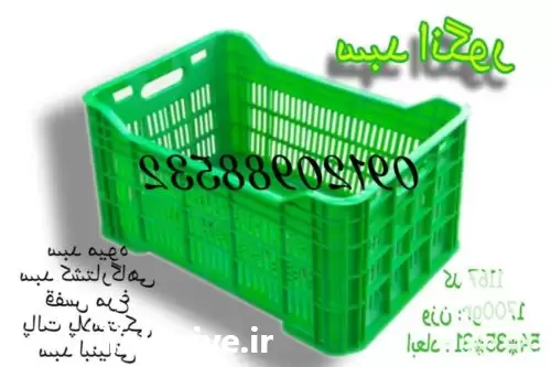 سبد انگور سبد پلاستیکی س در بیرجند در گروه سردخانه در یکمیوه -عکس1