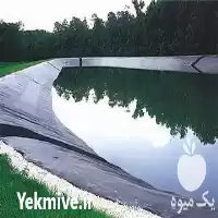 قیمت خرید نصب اجرای ژئوممبران در اصفهان در گروه خرید و فروش ژئوممبران و ژئوتکستایل در یکمیوه