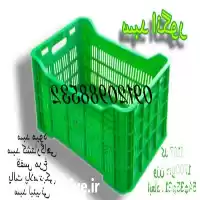 سبد انگور سبد پلاستیکی س در بیرجند در گروه سردخانه در یکمیوه