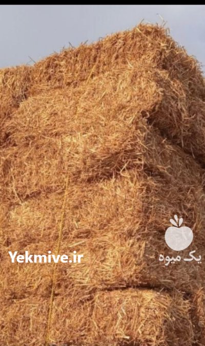 کاه پخل گندم در مشهد در گروه خوراک دام و طیور در یکمیوه -عکس1