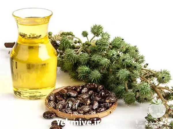 روغن کرچک فروش استثنایی در تهران در گروه خرید و فروش انواع روغن در یکمیوه -عکس1