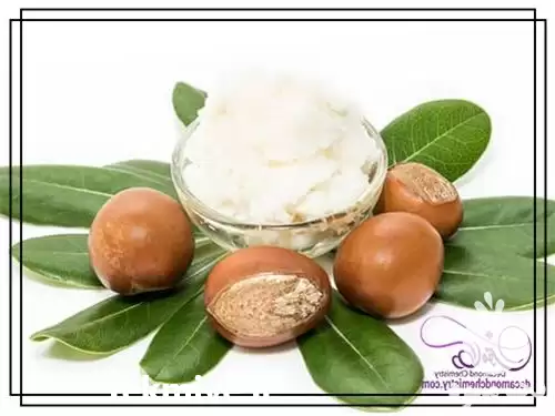 فروش شی باتر اصل فرانسه در تهران در گروه خرید و فروش انواع روغن در یکمیوه -عکس1