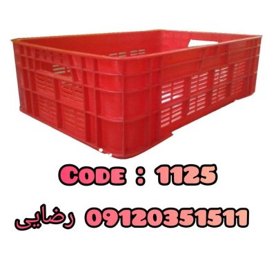 فروش سبد 1700 گرمی مرغ در پارس آباد در گروه خرید و فروش انواع سبد در یکمیوه -عکس2