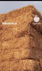 کاه پخل گندم در مشهد
