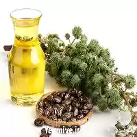 روغن کرچک فروش استثنایی در تهران در گروه خرید و فروش انواع روغن در یکمیوه