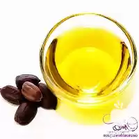 فروش ویژه روغن جوجوبا در تهران در گروه خرید و فروش انواع روغن در یکمیوه