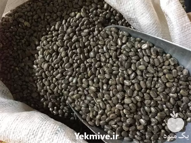 قیمت خرید دانه کرچک در تهران در گروه خرید و فروش دانه های روغنی در یکمیوه -عکس1