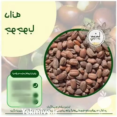 فروش دانه جوجوبا در تهران در گروه خرید و فروش دانه های روغنی در یکمیوه -عکس1