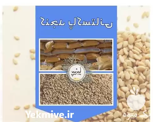 فروش کنجد پاکستانی در گروه خرید و فروش دانه های روغنی در یکمیوه -عکس1