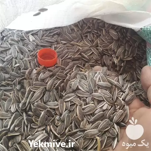 قیمت خرید تخمه اس 400 در گرگان در گروه خرید و فروش انواع تخمه در یکمیوه -عکس1