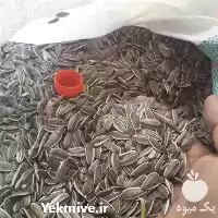 قیمت خرید تخمه اس 400 در گرگان در گروه خرید و فروش انواع تخمه در یکمیوه