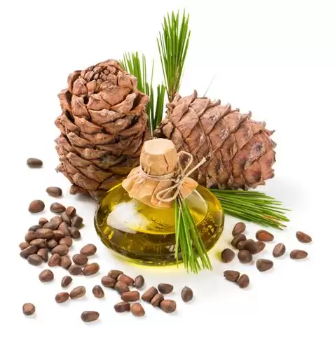 قیمت و فروش عمده روغن درخت در اصفهان در گروه خرید و فروش انواع روغن در یکمیوه -عکس1