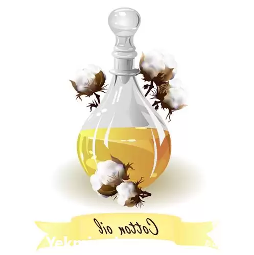 قیمت خرید روغن پنبه دانه در اردبیل در گروه خرید و فروش انواع روغن در یکمیوه -عکس1