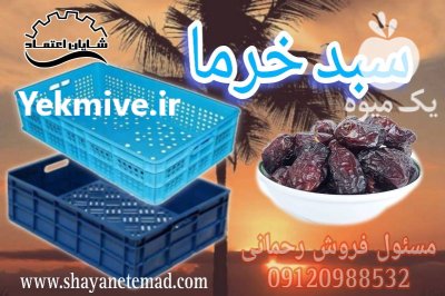 سبد خرما سبد پلاستیکی پالت پلاستیکی در گروه خرید و فروش تجهیزات بسته بندی در یکمیوه -عکس1