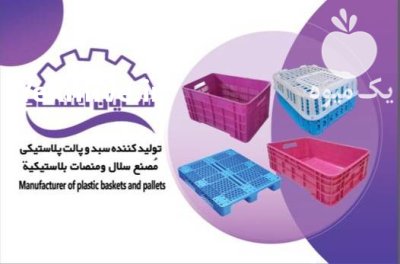 سبد خرما سبد پلاستیکی پالت پلاستیکی در گروه خرید و فروش تجهیزات بسته بندی در یکمیوه -عکس2