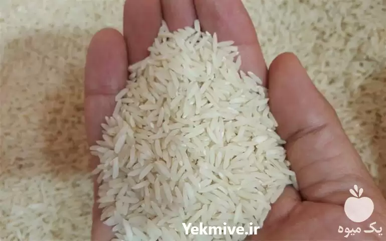 قیمت خرید قیمت برنج هاشمی در گروه خرید و فروش برنج در یکمیوه -عکس1