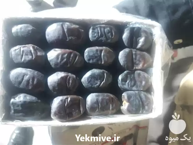 قیمت خرید خرما مضافتی و خرما در ارومیه در گروه خرید و فروش خرما در یکمیوه -عکس1