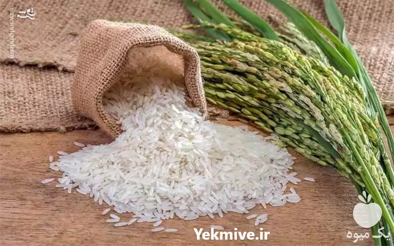 فروش اقساطی برنج شمال در گروه خرید و فروش برنج در یکمیوه -عکس1