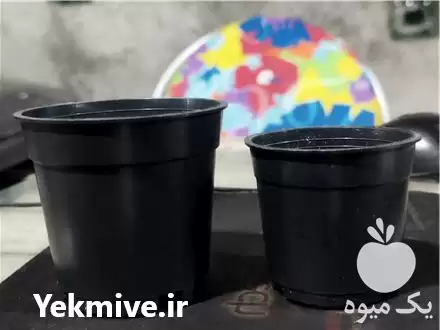 قیمت خرید گلدان در گروه خرید و فروش گلدان در یکمیوه -عکس1