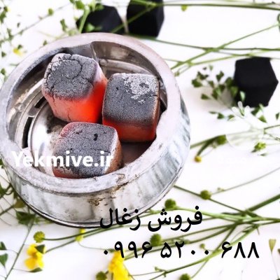 فروش زغال نارگیل در مشهد در گروه خرید و فروش زغال فشرده در یکمیوه -عکس3