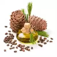 قیمت و فروش عمده روغن درخت در اصفهان در گروه خرید و فروش انواع روغن در یکمیوه