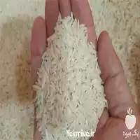 قیمت خرید قیمت برنج هاشمی در گروه خرید و فروش برنج در یکمیوه