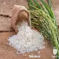 فروش اقساطی برنج شمال در گروه خرید و فروش برنج در یکمیوه