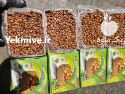 خرمای زاهدی لواشکی در ارومیه در گروه خرید و فروش خرما در یکمیوه -عکس4