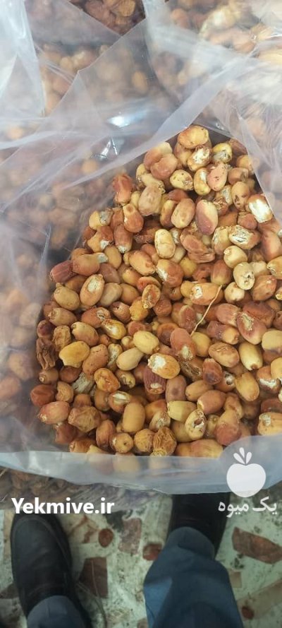 خرمای زاهدی لواشکی در ارومیه در گروه خرید و فروش خرما در یکمیوه -عکس3