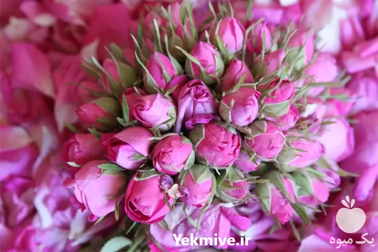 قیمت خرید پخش تناژ غنچه گل در اصفهان در گروه خرید و فروش گیاهان دارویی در یکمیوه -عکس1