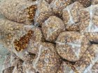 خرمای زاهدی لواشکی در ارومیه