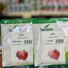 بذر گوجه فرنگی بدرو در انارک در گروه خرید و فروش بذر گوجه در یکمیوه