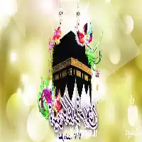 قیمت خرید قیمت بابونه در اصفهان در گروه خرید و فروش گیاهان دارویی در یکمیوه