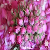 خرید عمده غنچه گل محمدی در گروه خرید و فروش گیاهان دارویی در یکمیوه