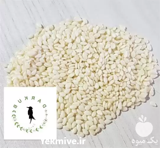 قیمت خرید انواع کنجد در شرکت در تهران در گروه خرید و فروش دانه های روغنی در یکمیوه -عکس1