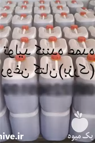 قیمت خرید روغن کتان بزرک  در گروه خرید و فروش دانه های روغنی در یکمیوه -عکس1