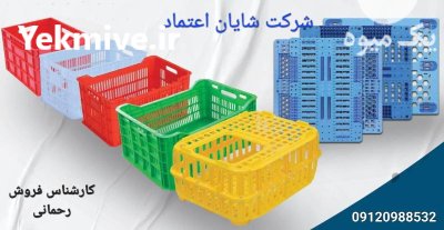 قیمت خرید سبد و پالت پلاستکی در تهران در گروه خرید و فروش پالت در یکمیوه -عکس2