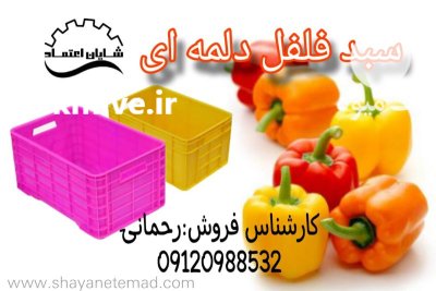 فروش سبد فلفل دلمه در اصفهان در گروه خرید و فروش انواع سبد در یکمیوه -عکس1
