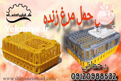 فروش قیمت قفس حمل مرغ سبد پلاستیکی س در تیران در گروه تجهیزات مرغداری در یکمیوه -عکس1