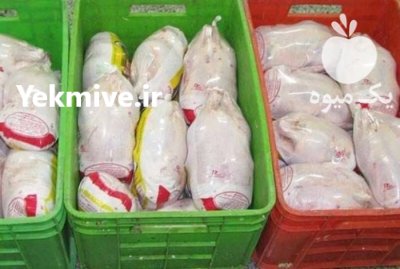 فروش قیمت قفس حمل مرغ سبد پلاستیکی س در تیران در گروه تجهیزات مرغداری در یکمیوه -عکس2