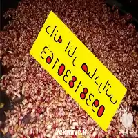 دانه انار خشک در کرمان  در گروه خرید و فروش انار در یکمیوه