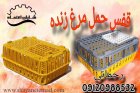 فروش قیمت قفس حمل مرغ سبد پلاستیکی س در تیران در گروه تجهیزات مرغداری در یکمیوه