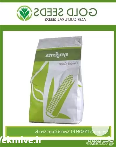 قیمت خرید بذر ذرت اکشن چویت در کرمان  در گروه خرید و فروش بذر ذرت در یکمیوه -عکس1