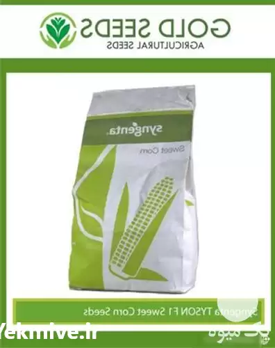 فروش بذر ذرت اکشن بذر روز در اهواز در گروه خرید و فروش بذر ذرت در یکمیوه -عکس1