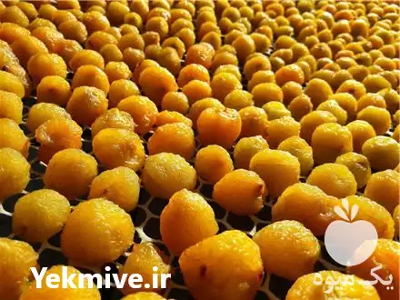 خرید فروش آلو خشک بخارا در گروه خرید و فروش آلو در یکمیوه -عکس1